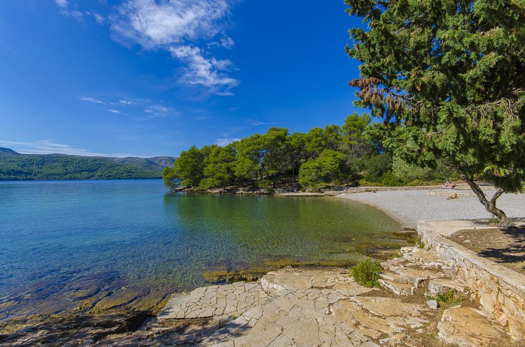 House Oliva With Private Pool And Large Garden Villa Stari Grad Kültér fotó